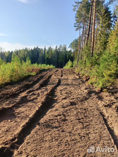 Услуги мульчера