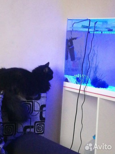 Аквариум 100 литров белый