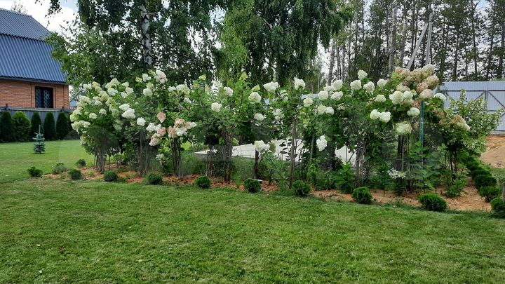 Дом 368 м² на участке 17 сот.