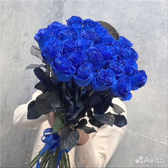 Розы Доставка Цветов 25 51 101 Роза