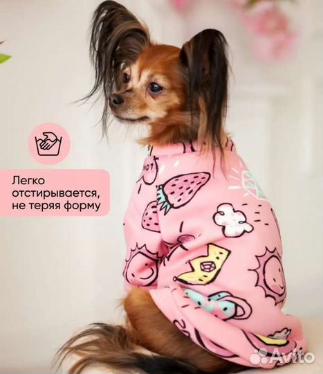 Свитшот для щенка мелких пород