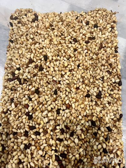 Орех кедровый 2 сорт