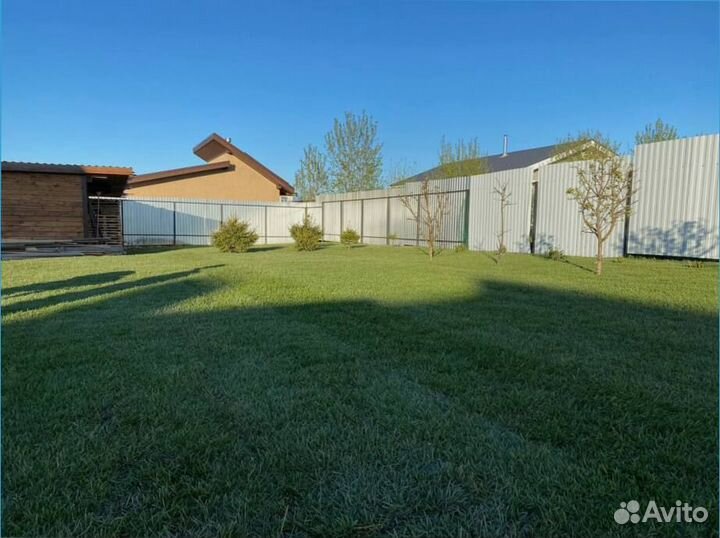 Рулонный газон, озеленение территории