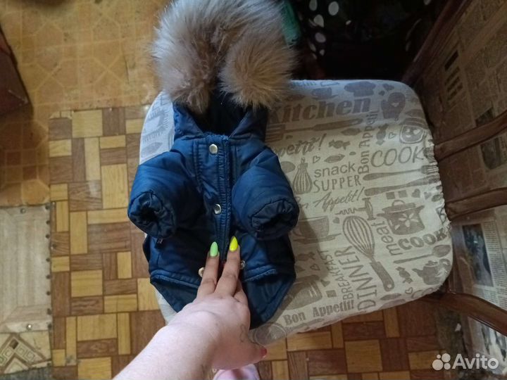 Куртка для собак