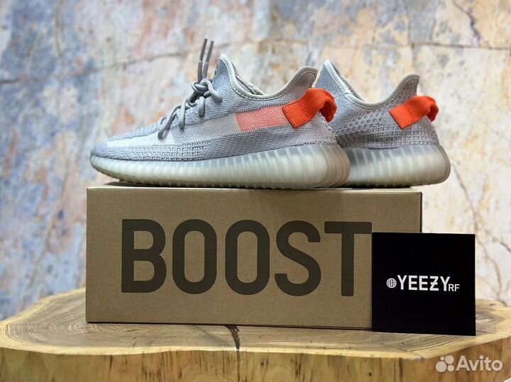 Кроссовки Adidas Yееzy Boost 350 V2 Tail Light