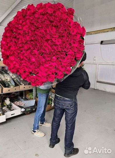 Высокие Розы с Доставкой