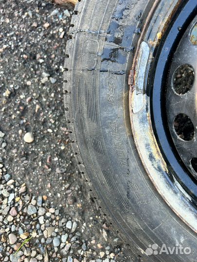 Запасное колесо фиат альбеа