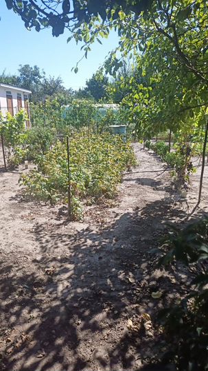 Дом 25 м² на участке 6 сот.