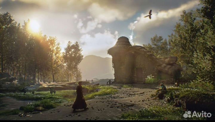 Hogwarts Legacy ps4/ps5