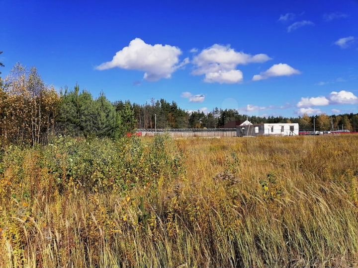 Участок 10 сот. (СНТ, ДНП)