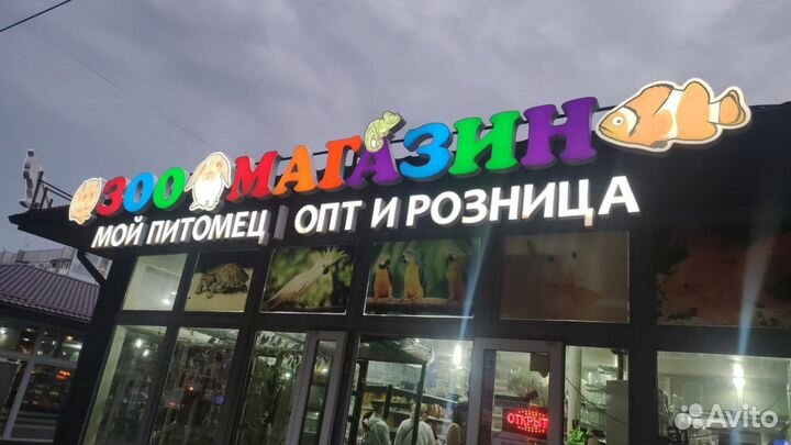 Световые буквы, Наружная реклама, Вывеска