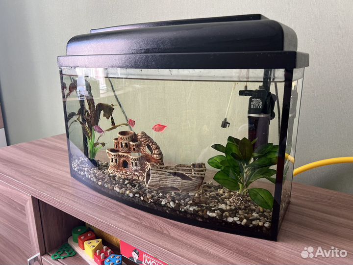 Аквариум с рыбками