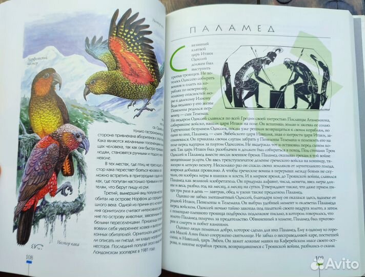 Книга насекомые и птицы