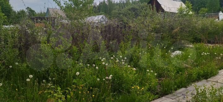 Дом 50 м² на участке 20 сот.