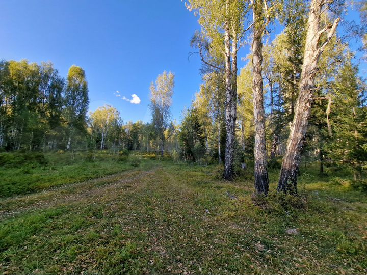 Участок 10 сот. (СНТ, ДНП)