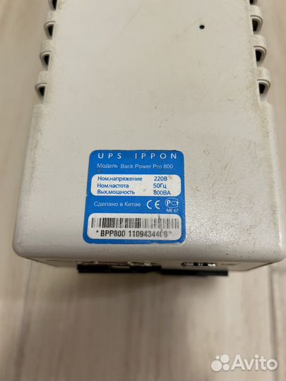 Ippon back power pro 800