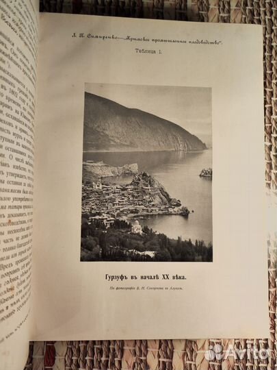 Антикварная книга Симиренко Л. П