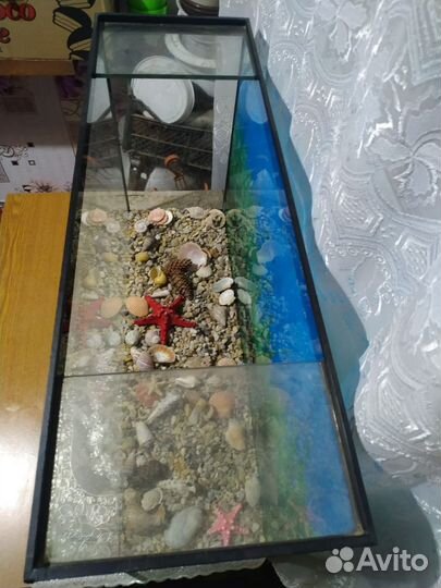 Аквариум