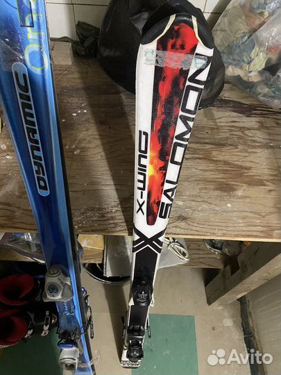 Горные лыжи