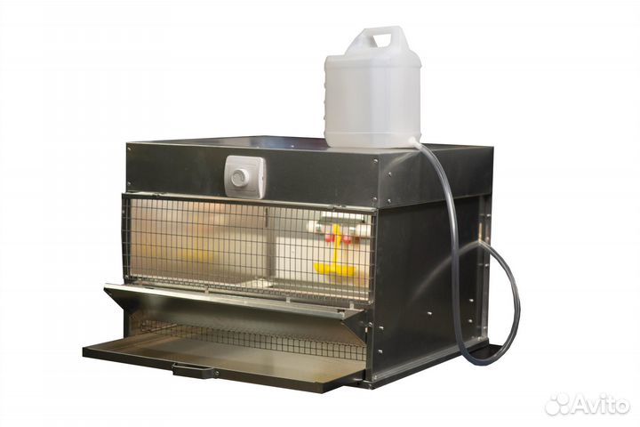 Брудер для цыплят