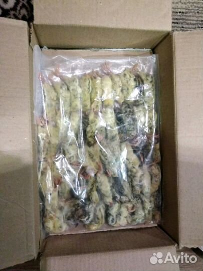 Кормовая перепелка для хищников