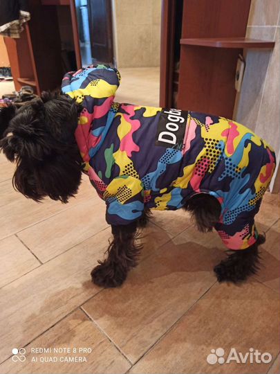 Одежда для маленьких собак