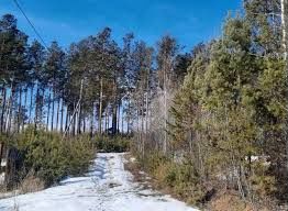 Участок 10 сот. (СНТ, ДНП)