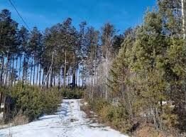 Участок 10 сот. (СНТ, ДНП)