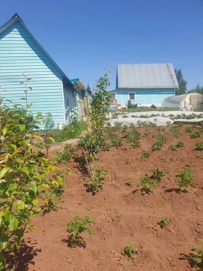 Дом 80 м² на участке 10 сот.