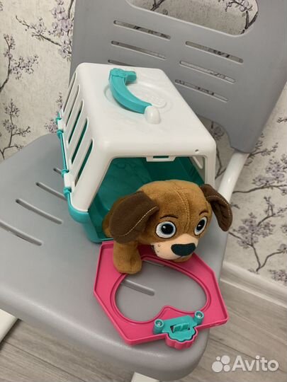 Питомец в переноске