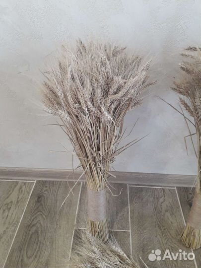 Снопы/букеты из колосьев пшеницы
