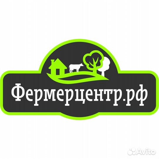 Продавец-кассир в магазин продуктов 