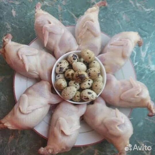 Яйца перепелиные инкубационное