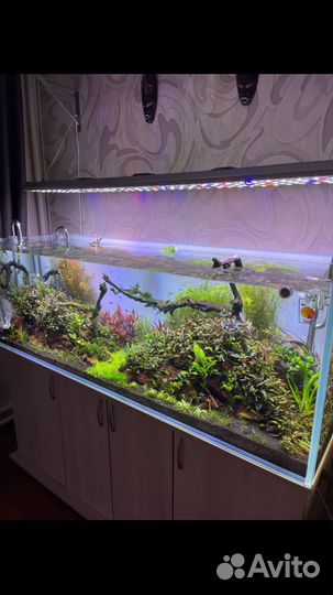 Аквариумный светильник