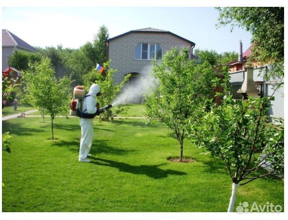 Обработка от комаров клещей тли тараканов клопов