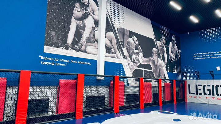 Борцовский ковер 6х6 трехцветный