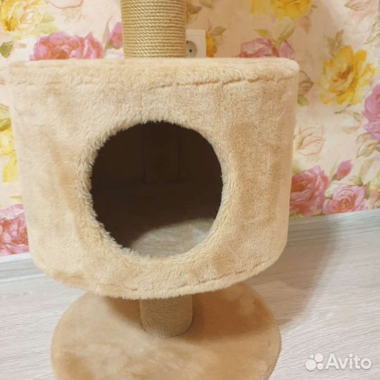 Новый домик для кота