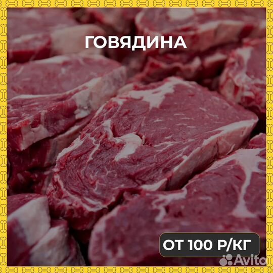 Мясо и субпродукты для животных в Ломоносов