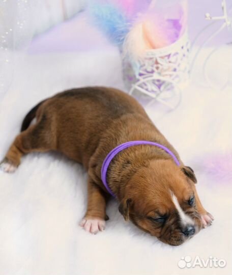 Мальчик-красавчик