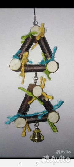 Птенцы волнистых попугаев