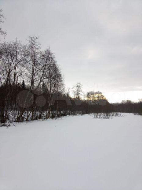 Участок 3 га (СНТ, ДНП)