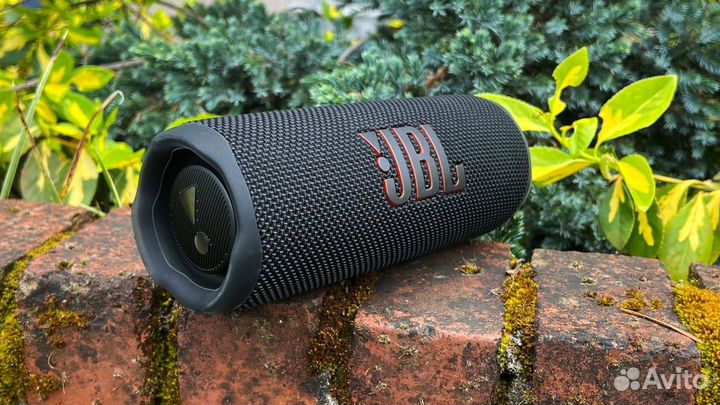 JBL Flip 6