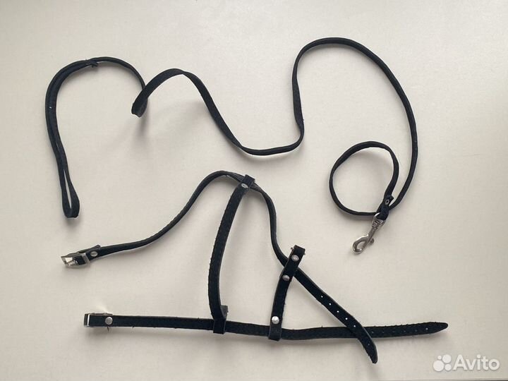 Шлейка и поводок