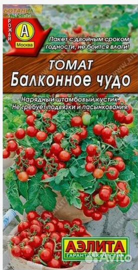 Рассада томатов черри балконное чудо