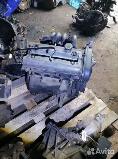 Двигатель форд фокус 1 1.6 fyda Зетек