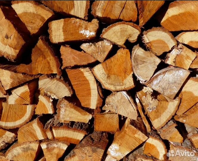 Дрова осина