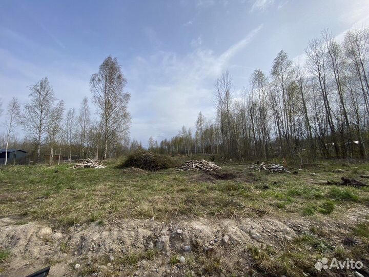 Дрова бесплатно