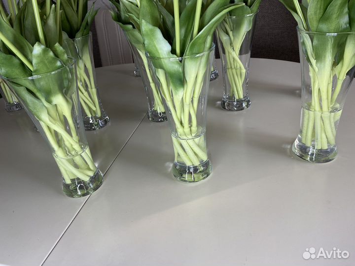 Тюльпан силикон