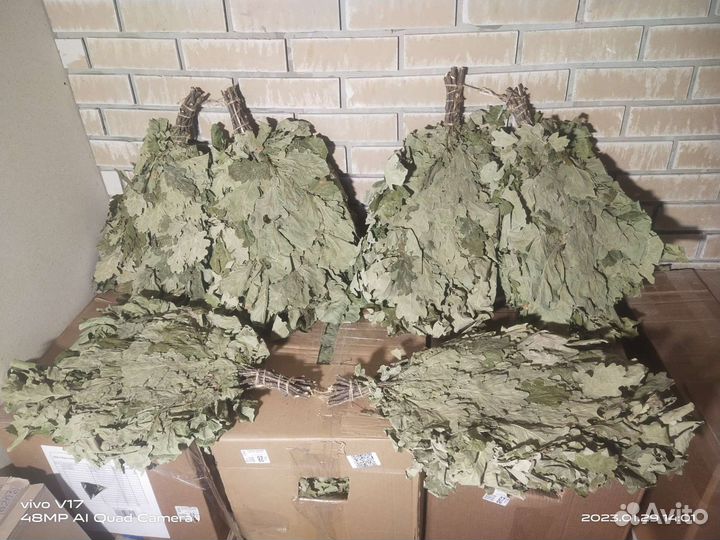 Банные веники