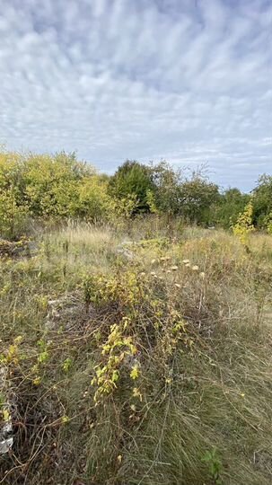 Дача 42 м² на участке 8 сот.